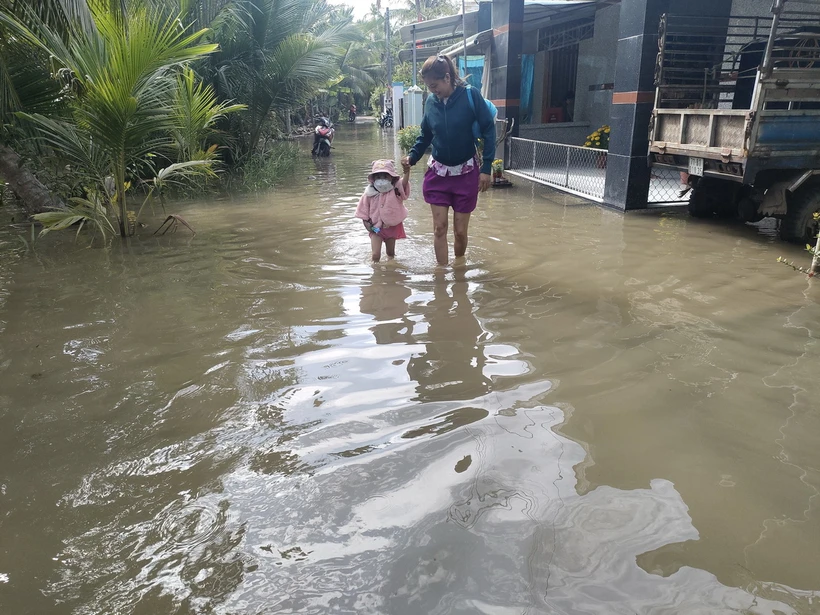 Triều cường gây ngập nước ảnh hưởng đến đời sống người dân. (Ảnh: Huỳnh Phúc Hậu/TTXVN)