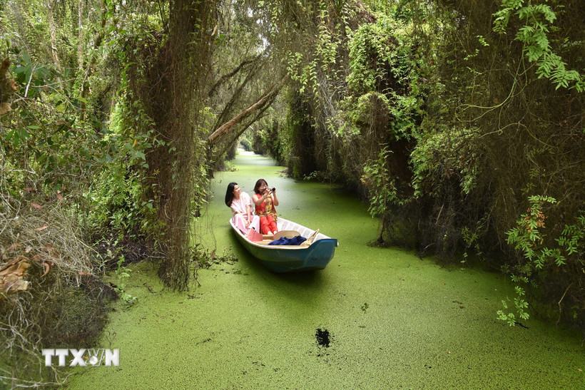 Du khách đi xuồng trên sông nước ở Long An. (Ảnh: Đức Hạnh/TTXVN)