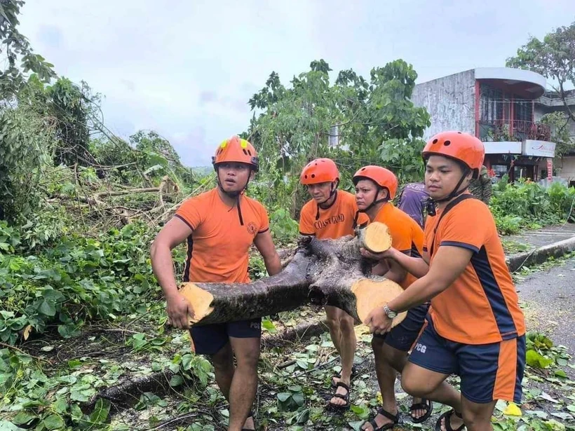 Cây cối gãy đổ do bão Trami tại tỉnh Albay, Philippines. (Ảnh: THX/TTXVN)