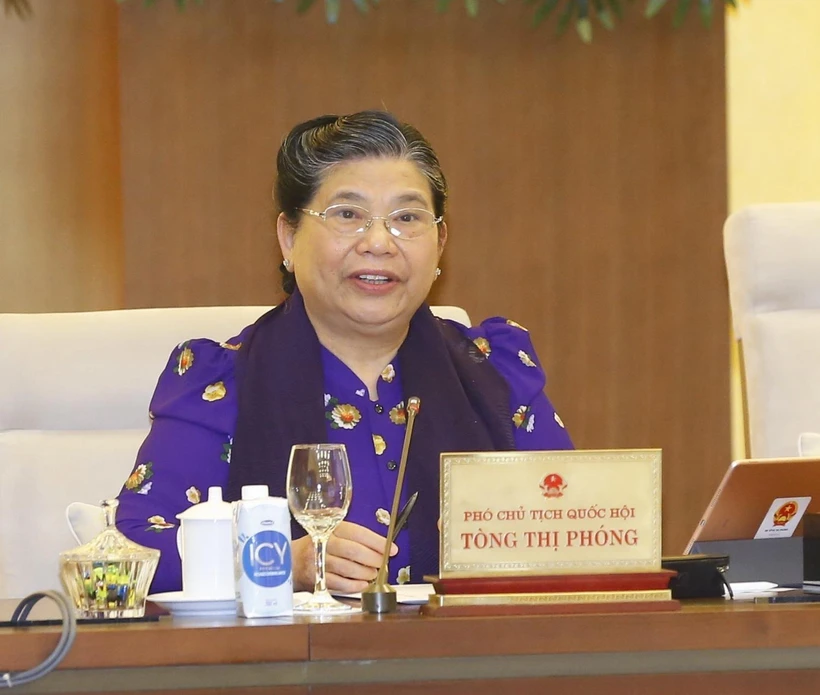Phó Chủ tịch Thường trực Quốc hội Tòng Thị Phóng phát biểu. (Ảnh: Doãn Tấn/TTXVN)