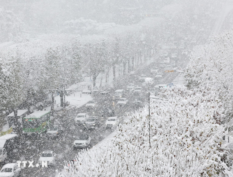 Tuyết rơi dày tại Seoul, Hàn Quốc ngày 27/11. (Ảnh: Yonhap/TTXVN)