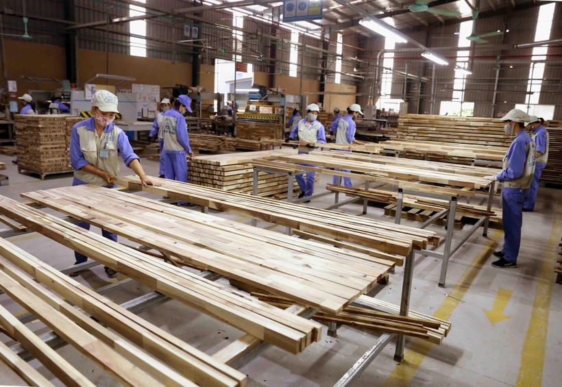 Xuất khẩu gỗ bị ảnh hưởng do dịch Covid-19 (Ảnh: Vũ Sinh/TTXVN)