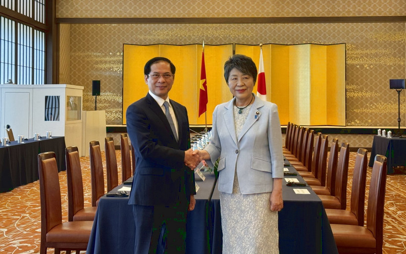 Bộ trưởng Ngoại giao Bùi Thanh Sơn (trái) và người đồng cấp Nhật Bản Kamikawa Yoko đồng chủ trì Phiên họp Ủy ban Hợp tác Việt Nam-Nhật Bản. (Ảnh: Phạm Tuân/TTXVN)