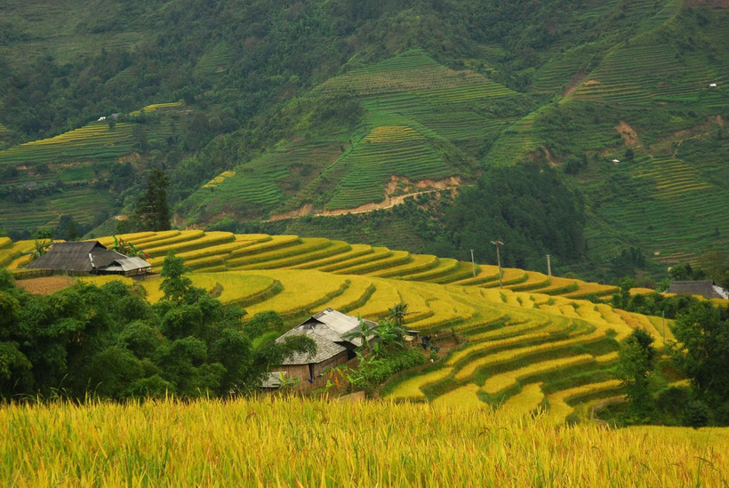 Ruộng bậc thang ở huyện Hoàng Su Phì, tỉnh Hà Giang, một địa chỉ du lịch hấp dẫn du khách. (Ảnh: Minh Tâm/TTXVN)