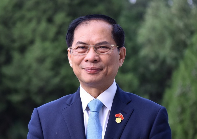 Phó Thủ tướng Bùi Thanh Sơn. (Ảnh: TTXVN)