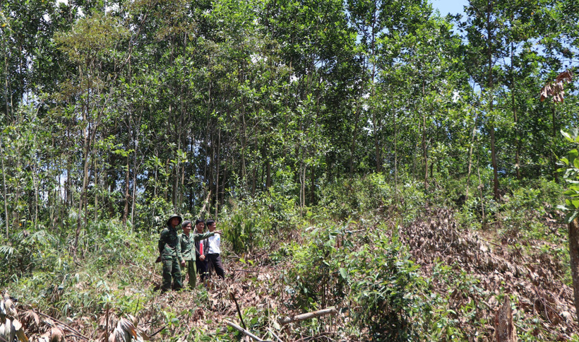 Rẫy của dân làng Tu Rét xã Đăk Nên huyện Kon Plông (Kon Tum) bị thu hồi và cấp cho dân làng Xô Luông, Vương sản xuất vẫn chưa nhận được tiền đền bù. (Ảnh: Cao Nguyên/TTXVN)