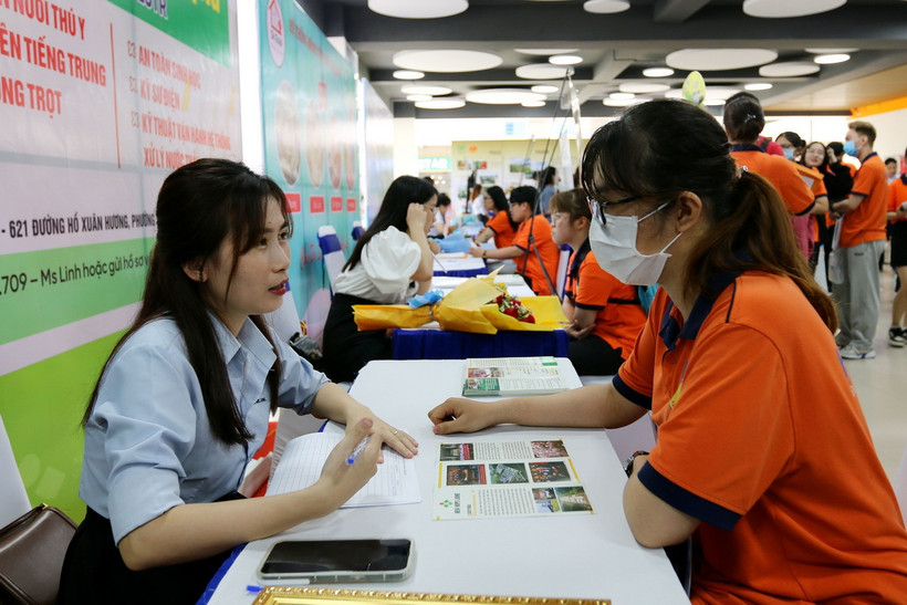 Đông đảo người lao động tìm việc tại Ngày hội việc làm ngành nghề kiến trúc, xây dựng do Trường Đại học Công nghệ Tp. Hồ Chí Minh tổ chức. (Ảnh: Thanh Vũ/TTXVN)