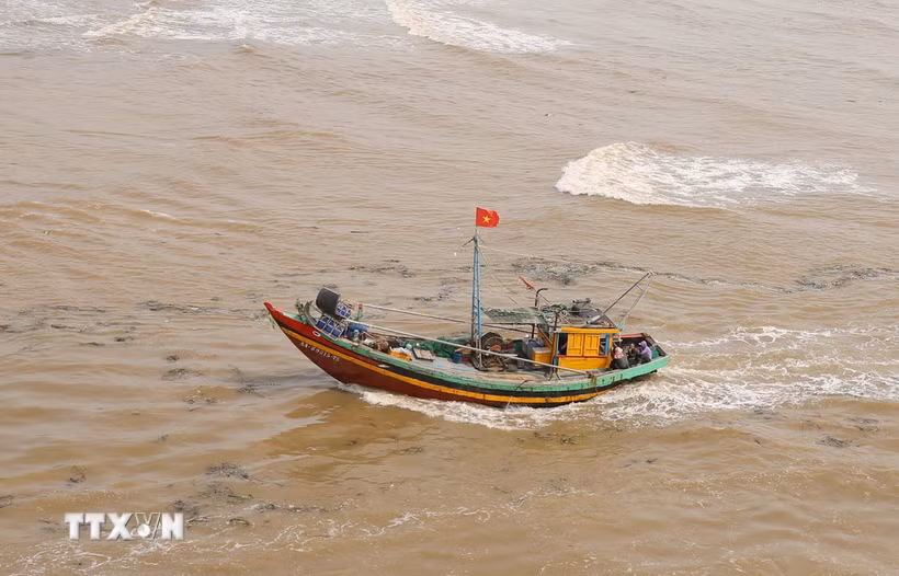 (Ảnh minh họa: TTXVN)