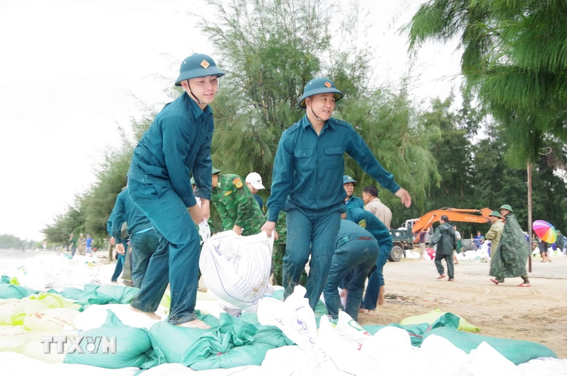 Hàng trăm cán bộ, chiến sỹ và người dân khẩn trương tiến hành gia cố sạt lở bờ biển tại phường Thuận An, thành phố Huế và xã Phú Thuận, huyện Phú Vang. (Ảnh: TTXVN phát)