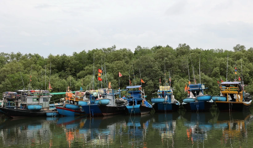 Hàng loạt tàu cá tại xã Lộc An, tỉnh Bà Rịa-Vũng Tàu, phải nằm bờ do giấy phép quy định không đúng với vùng khai thác ngành nghề. (Ảnh: Hoàng Nhị/TTXVN)