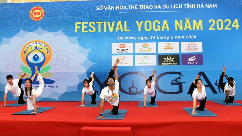 Màn trình diễn Yoga tại chương trình Festival Yoga tỉnh Hà Nam năm 2024. (Ảnh: Đại Nghĩa/TTXVN)