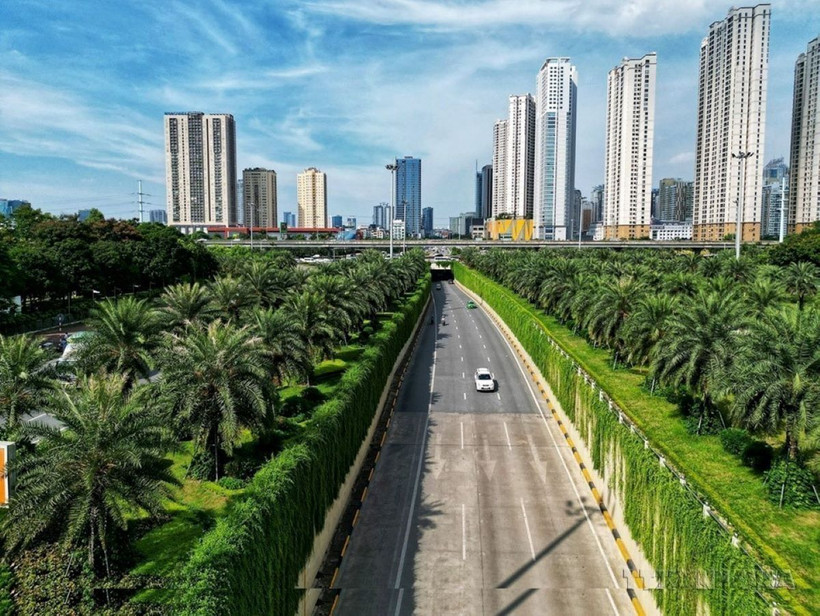 Cùng với mục tiêu của Chính phủ về việc trồng 1 tỷ cây xanh trong giai đoạn 2021-2025, thành phố Hà Nội đang nỗ lực trồng cây xanh nhằm cải thiện môi trường, vừa giúp giảm khói bụi, tiếng ồn, vừa nâng cao mỹ quan đô thị. (Ảnh: Tuấn Anh/TTXVN)