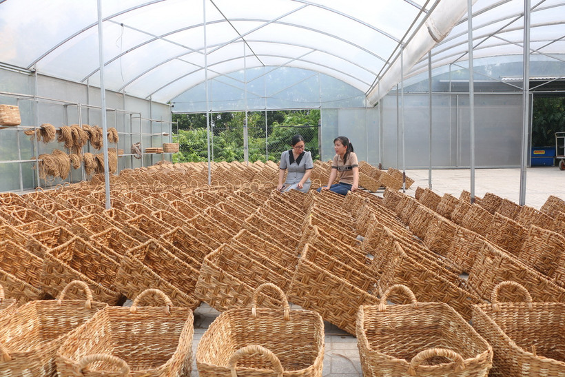 Việc dán tem truy xuất nguồn gốc sẽ giúp cơ sở sản xuất bảo vệ thương hiệu. (Ảnh: Minh Hưng/TTXVN)