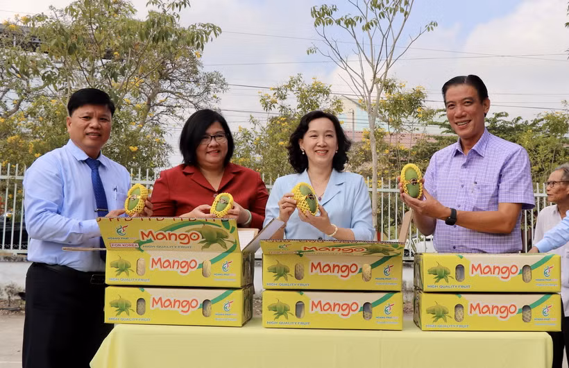 Lãnh đạo tỉnh An Giang đưa lô xoài hạt lép đầu tiên xuất khẩu sang thị trường Hàn Quốc. (Ảnh: Thanh Sang/TTXVN)