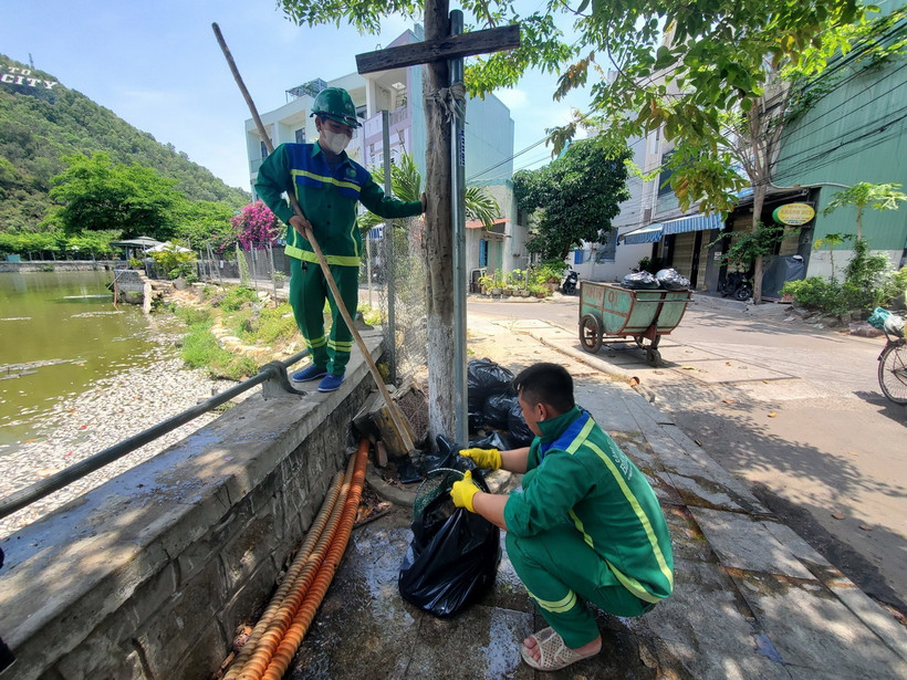 Đơn vị môi trường xử lý cá chết ở hồ Bàu Sen, thành phố Quy Nhơn. (Ảnh: Sỹ Thắng/TTXVN)