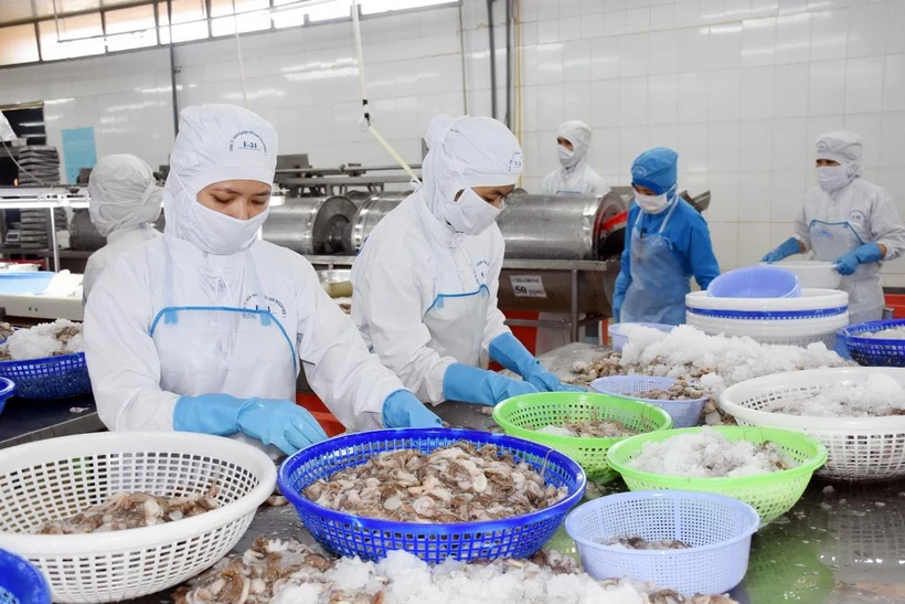 Chế biến thủy sản xuất khẩu. (Ảnh: Hoàng Nhị/TTXVN)