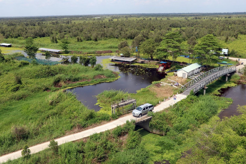 Giao thông phục vụ du khách tham quan Vườn Quốc gia U Minh Thượng ở tỉnh Kiên Giang. (Ảnh: Lê Huy Hải/TTXVN)