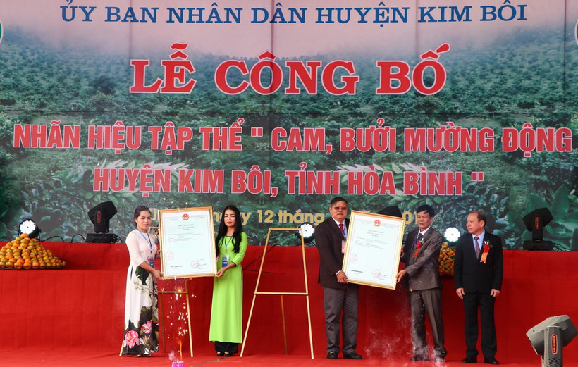 Trao giấy chứng nhận đăng ký nhãn hiệu tập thể cam, bưởi Mường Động. (Ảnh: Thanh Hải/TTXVN)