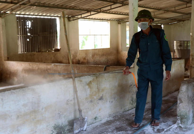 Lực lượng chức năng phun hóa chất tiêu độc khử trùng tại các trại chăn nuôi. (Ảnh: Công Tường/TTXVN)