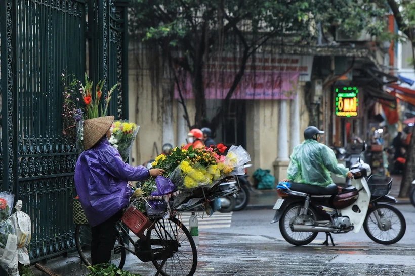 Cuộc sống mưu sinh của người dân gặp khó khăn hơn trong hình thái thời tiết mưa kèm nồm ẩm. (Ảnh: Tuấn Anh/TTXVN)