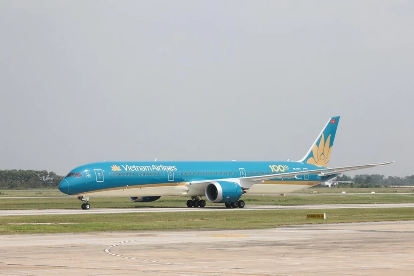 Máy bay của các hãng hàng không Việt Nam (Vietnam Airlines) tại sân bay Nội Bài. (Ảnh: TTXVN)