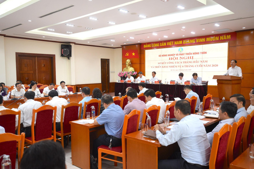 Bộ Nông nghiệp và Phát triển nông thôn tổ chức hội nghị sơ kết 6 tháng đầu năm 2020 (Ảnh: Bộ Nông nghiệp và Phát triển nông thôn cung cấp) 