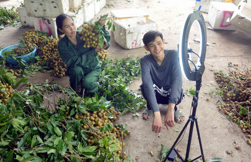Người nông dân đẩy mạnh quảng bá, kết nối tiêu thụ nông sản qua các sàn thương mại điện tử. (Ảnh: Quang Quyết/TTXVN) 