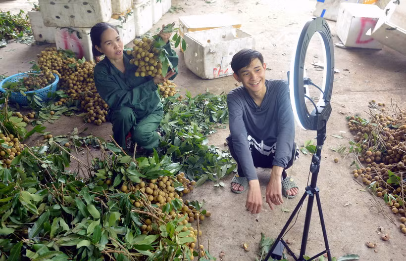 Người nông dân đẩy mạnh quảng bá, kết nối tiêu thụ nông sản qua các sàn thương mại điện tử. (Ảnh: Quang Quyết/TTXVN) 