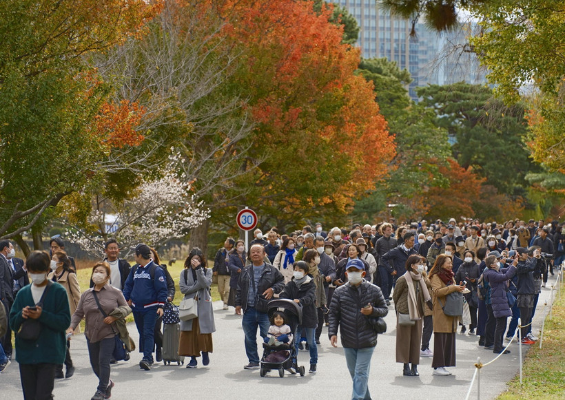 Lá cây chuyển màu đỏ và vàng tại Tokyo, Nhật Bản. (Ảnh: Kyodo/TTXVN)