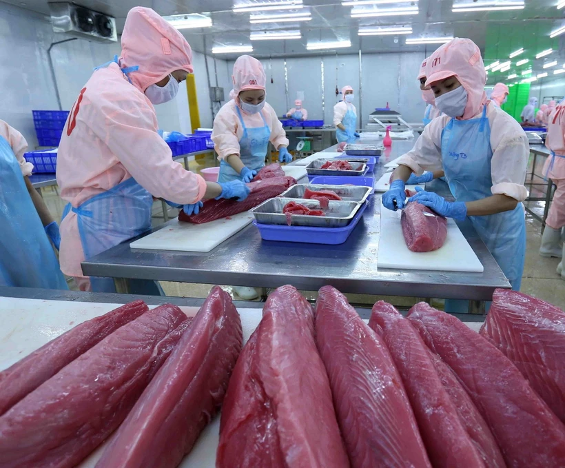Tại Lễ hội tinh hoa đất biển Bình Định năm 2024 sẽ có chương trình “Giới thiệu nghệ thuật ẩm thực cá ngừ đại dương” dưới sự thể hiện của các đầu bếp tài hoa trong và ngoài nước. (Ảnh: Vũ Sinh/TTXVN)