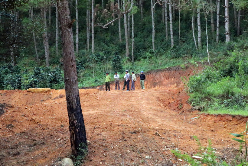 Lực lượng chức năng thành phố Đà Lạt kiểm tra vị trí lấn chiếm đất rừng phía ngoài khu vực trên. (Ảnh: Chu Quốc Hùng/TTXVN)