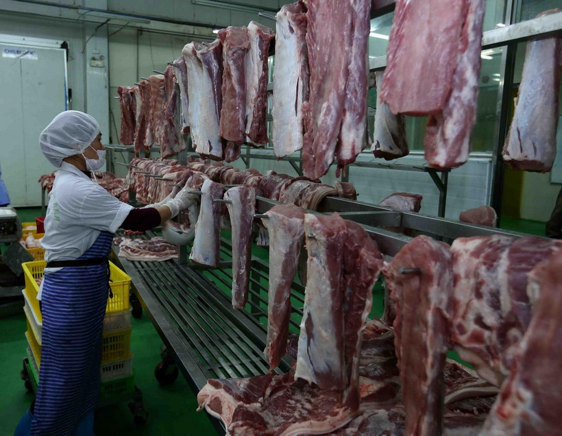 Phân loại thịt lợn đã chế biến và treo trên giá đảm bảo an toàn vệ sinh thực phẩm tại nhà máy. (Ảnh: Vũ Sinh/TTXVN)