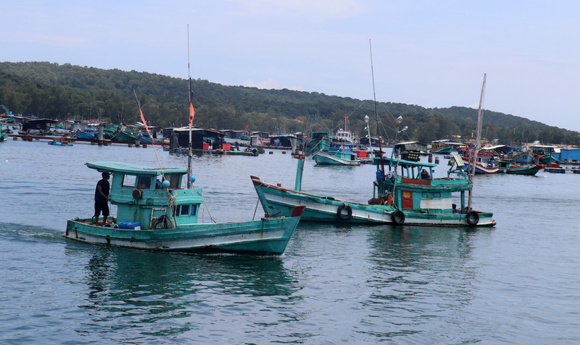 Tàu cá công suất nhỏ neo đậu khu vực Cảng cá An Thới, thành phố Phú Quốc, tỉnh Kiên Giang. (Ảnh: Lê Huy Hải/TTXVN)
