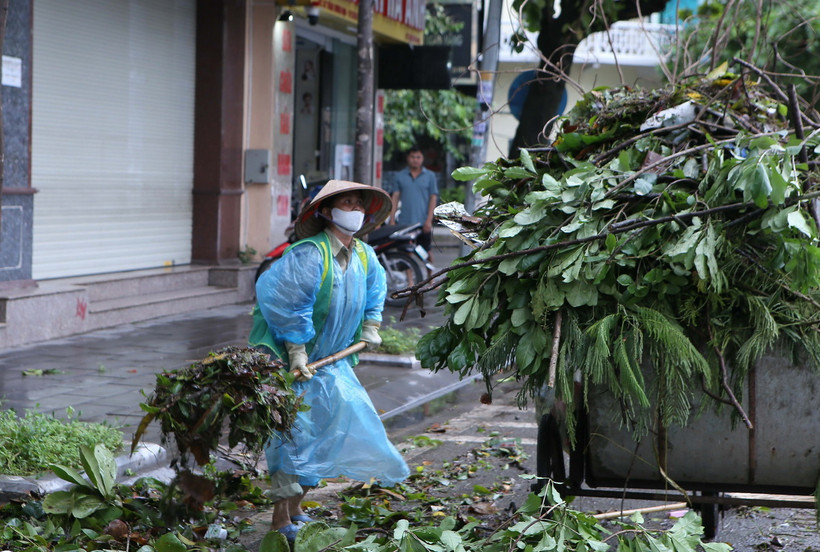 Công nhân Công ty cổ phần môi trường Nam Định dọn dẹp cây cối bị đổ tại chân cầu Đò Quan, thành phố Nam Định. (Ảnh: Công Luật/TTXVN)