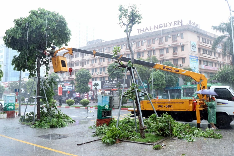 Lực lượng chức năng thực hiện cắt tỉa cây xanh bị gãy đổ sau bão. (Ảnh: Thu Hằng/TTXVN)