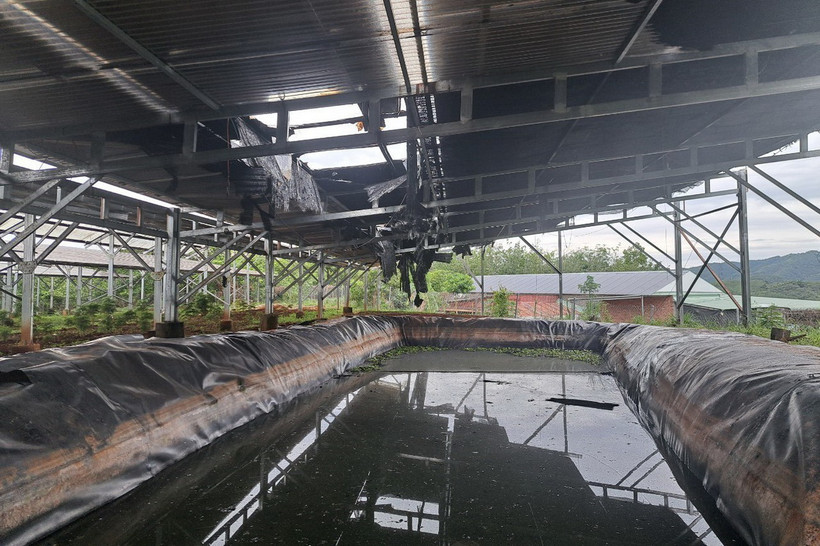 Hiện trường vụ cháy. (Ảnh: TTXVN phát)