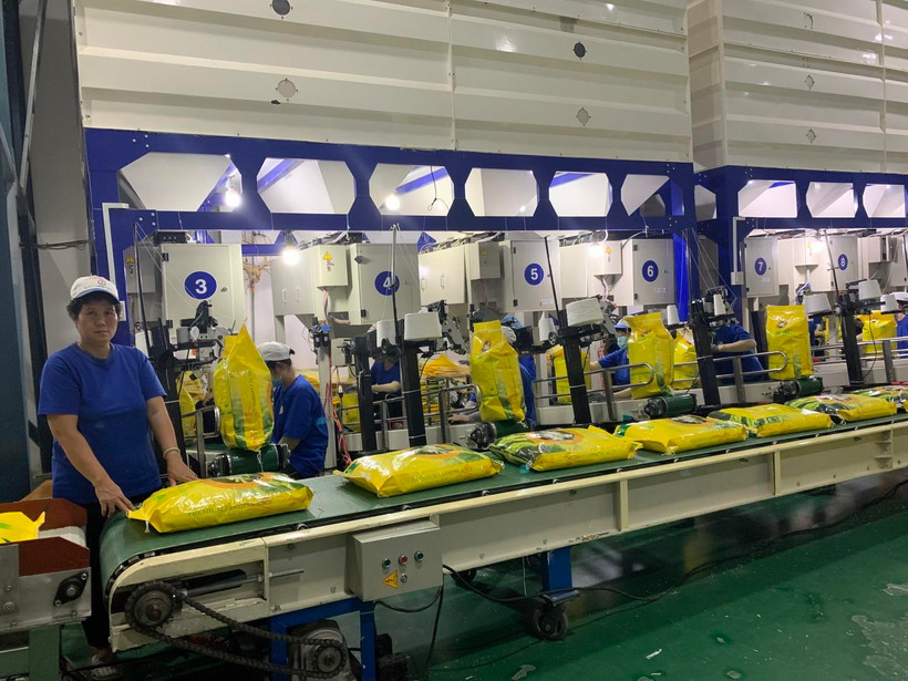 Chuyển gạo vào container tại Công ty cổ phần Nông nghiệp Công nghệ cao Trung An. (Ảnh: TTXVN phát)