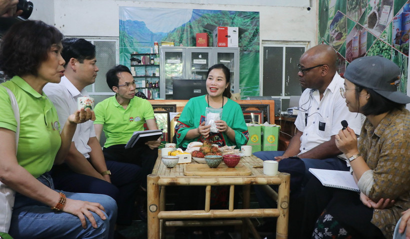 Đoàn công tác của FAO đi thăm một số mô hình hợp tác xã được FFF hỗ trợ tại địa bàn huyện Ba Bể. (Ảnh: TTXVN phát)