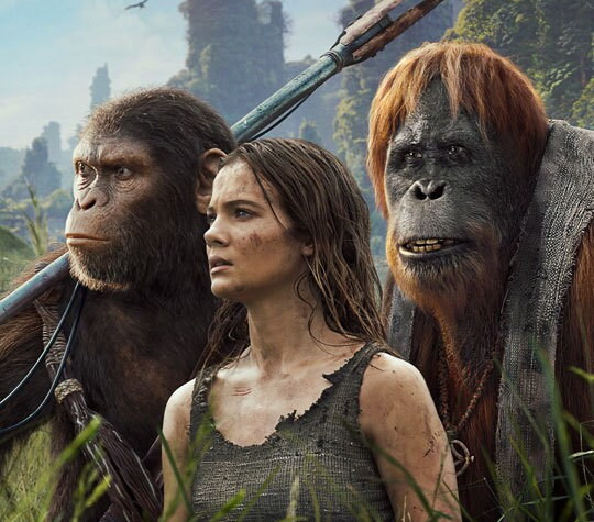 Poster phim "Kingdom of the Planet of the Apes."