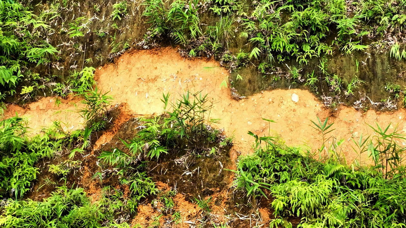 Vết nứt lớn của cung trượt tại khu vực dốc Đỏ, khối 20/7, thị trấn Tuần Giáo, huyện Tuần Giáo, tỉnh Điện Biên. (Ảnh: TTXVN phát)