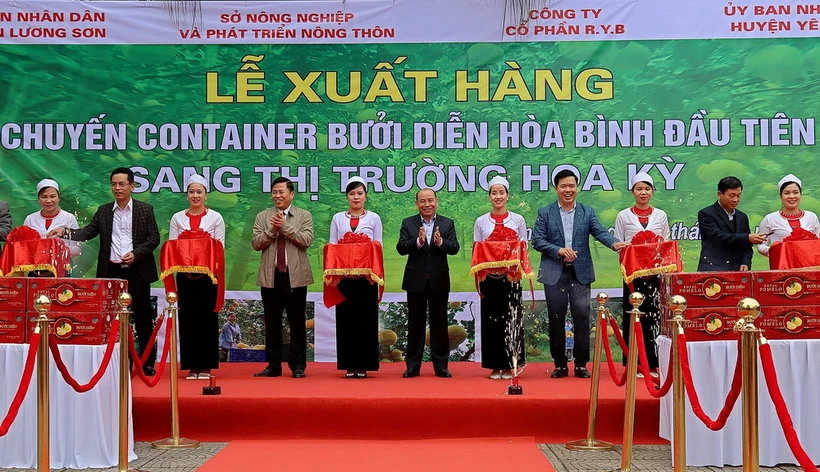 Các đại biểu cắt băng xuất lô hàng bưởi Diễn đầu tiên sang thị trường Hoa Kỳ. (Ảnh: Thanh Hải/TTXVN)