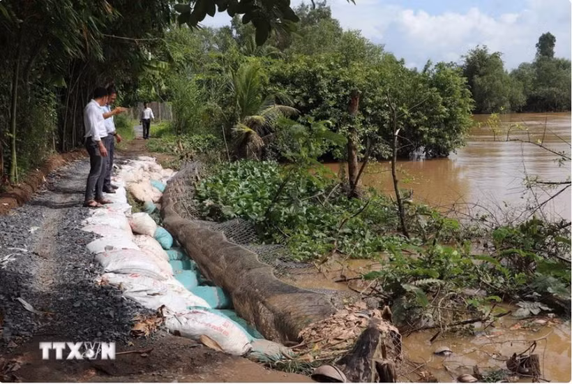 Đồng Tháp khẩn cấp ứng phó nguy cơ sạt lở bờ sông Tiền Đoạn sạt lở nghiêm trọng. (Ảnh minh họa: Minh Trí/TTXVN)