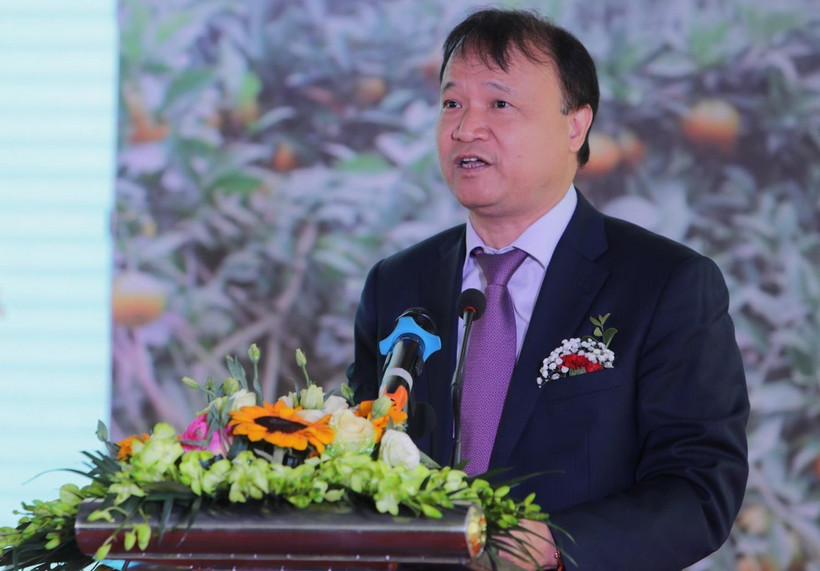 Ông Đỗ Thắng Hải, Thứ trưởng Bộ Công Thương phát biểu tại buổi lễ. )Ảnh: Thành Đạt/TTXVN)