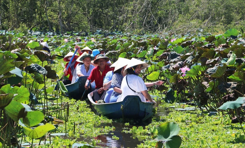 Khu du lịch rừng tràm Trà Sư, thị xã Tịnh Biên, tỉnh An Giang, thu hút đông du khách đến tham quan, trải nghiệm dịp dầu năm mới. (Ảnh: Công Mạo/TTXVN)