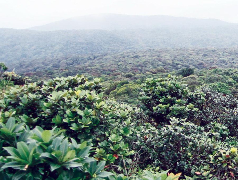 Toàn cảnh vườn quốc gia Kon Ka Kinh được ngắm từ trên cao.