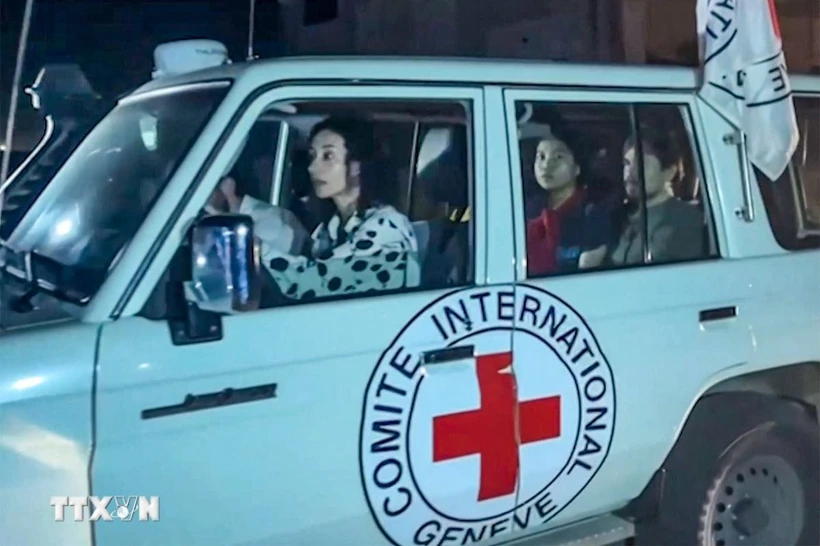 Xe của Ủy ban Chữ thập Đỏ quốc tế (ICRC) tiếp nhận các con tin được Phong trào Hồi giáo Hamas trả tự do sau thỏa thuận ngừng bắn tại Gaza, ngày 24/11/2023. (Ảnh: AFP/TTXVN)