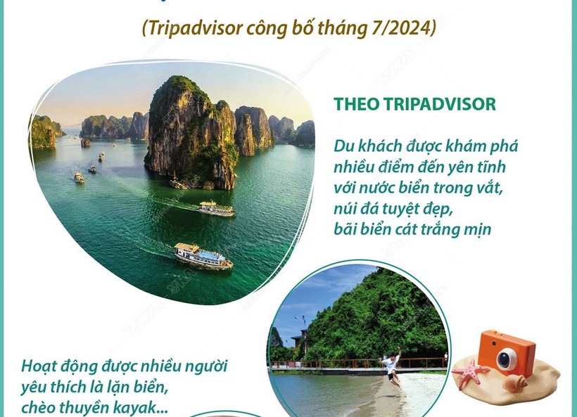 Du lịch trên thuyền ở Hạ Long: Top 25 trải nghiệm thú vị nhất thế giới 2024