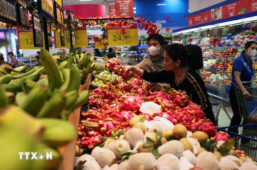 Ảnh minh họa. (Nguồn: TTXVN)