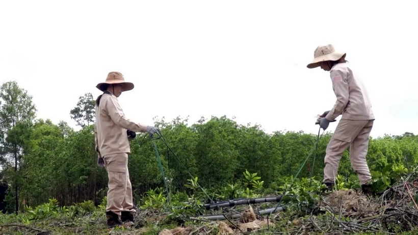 Nhân viên Tổ chức MAG dùng phương tiện, máy móc rà phá, xử lý bom mìn sau chiến tranh tại các địa phương trong tỉnh Quảng Bình. (Ảnh: TTXVN phát)