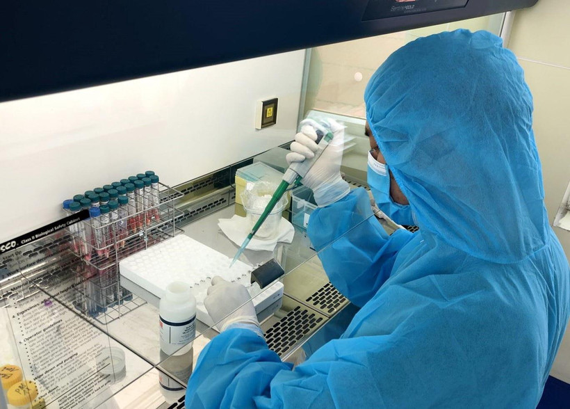 Cán bộ Trung tâm Kiểm soát bệnh tật tỉnh Quảng Ninh làm mẫu xét nghiệm bằng phương pháp PCR. (Ảnh: TTXVN phát)